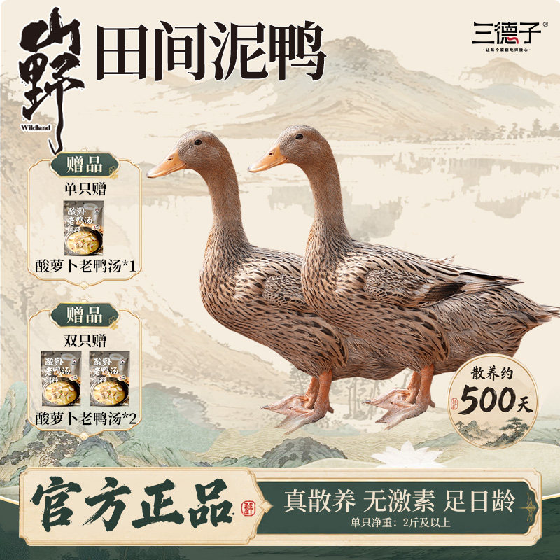三德子好甄选农家散养500天左右新鲜现杀鸭子生态土鸭老鸭子炖汤