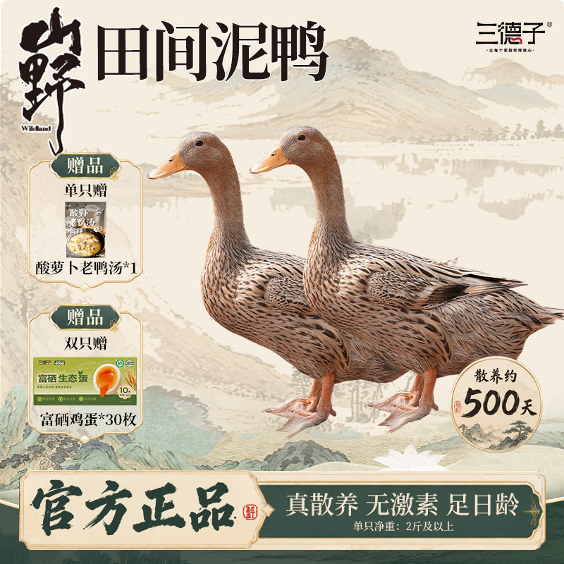 三德子好甄选农家散养500天左右新鲜现杀鸭子生态土鸭老鸭子炖汤