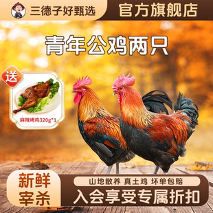 三德子好甄选 青年公鸡双只 散养生态鸡跑山鸡新鲜宰杀