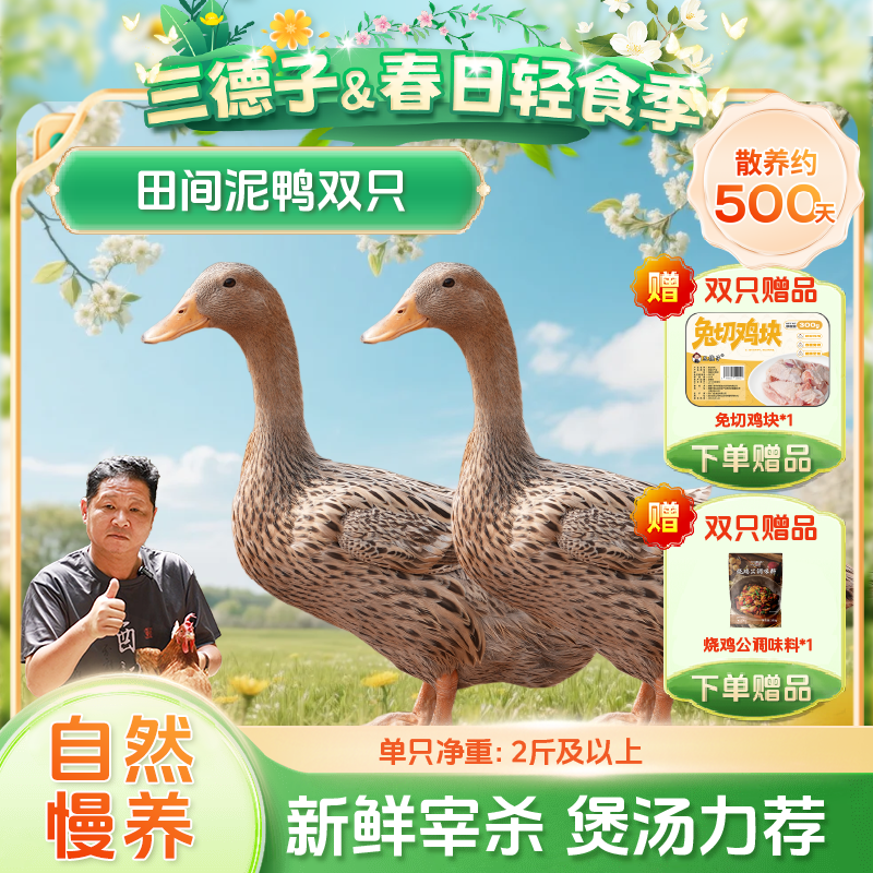 三德子好甄选农家散养500天左右新鲜现杀鸭子生态土鸭老鸭子炖汤