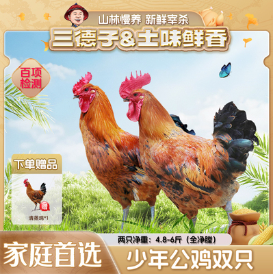 三德子【少年公鸡两只】山地散养120天走地鸡生鲜鸡肉赠清蒸鸡