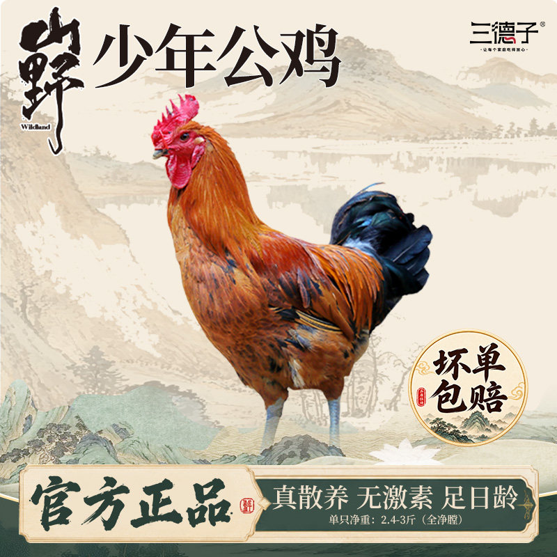 三德子甄选 雪山草鸡 单只小公鸡农家全粮散养正宗土鸡走地鸡生鲜图片