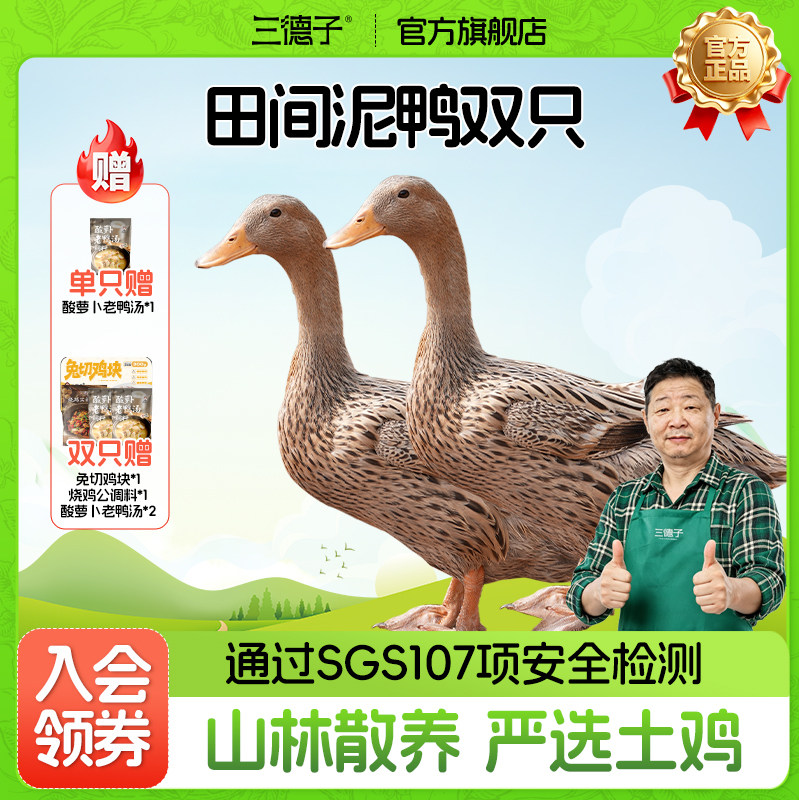 三德子好甄选农家散养500天左右新鲜现杀鸭子生态土鸭老鸭子炖汤
