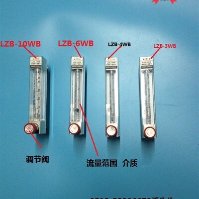 常州双环热工仪表LZB-10WB LZB-10WBF玻璃转子流量计