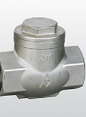 埃美柯8412 不锈钢止回阀 DN50 H14W-16R/H14W-16P 316材料
