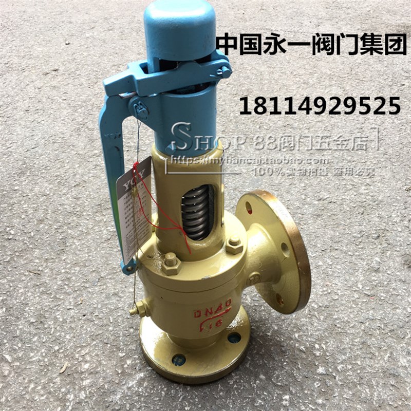中国永一阀门集团 A48Y-16C/25C/40C/64C 铸钢法兰弹簧式安全阀