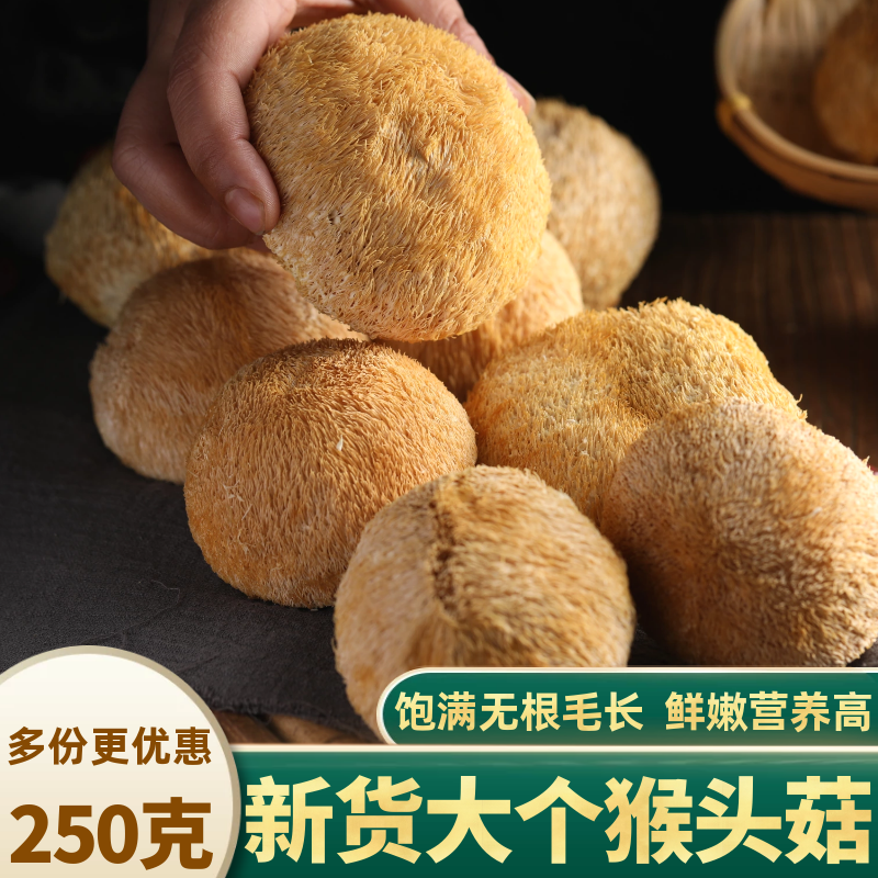 猴头菇干货新东北野生纯长白山猴头菌煲汤养胃粉中药材官方旗舰店