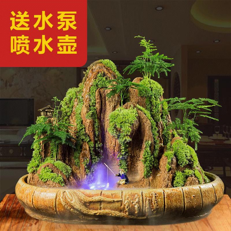 养好发货天都雄姿假山盆景吸水造景石上水小盆栽天然植物室内摆件