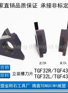 金刚石立装槽刀片TGF32R GBA43R/L TGF32L100/200/250/300/400PCD