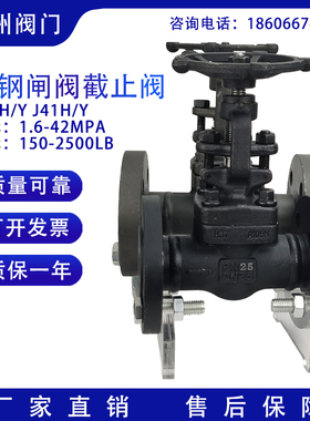 锻钢法兰闸阀截止阀Z41H/Y J41H/Y-16C254064C100C 150 300LB美标
