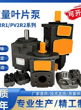 单泵/双联叶片泵PV2R11/PV2R21/1/31/32油泵总成液压系统泵头配件