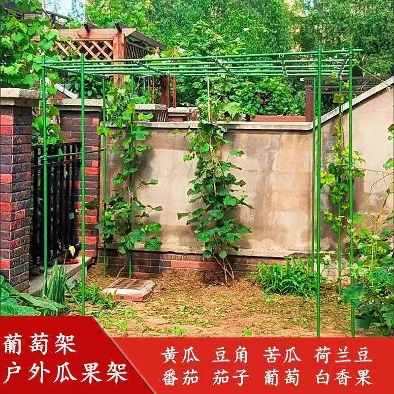 黄瓜架种菜架子豆角爬藤架庭院植物支架葡萄户外花架攀爬架子阳台,畜牧/养殖物资,畜牧/养殖器械,淘宝优惠券,粉丝福利购,淘宝优惠卷