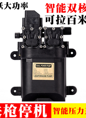 12伏智能压力开关12V关枪停机喷雾器洗车浇花果园苗圃撒药双水泵