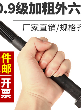 发黑10.9级外六角螺丝螺母大全高强度组合加大加长螺栓螺钉M45