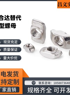 替怡合达AHC21-206/308/408/4010-M6欧标T型螺母M3M4M5M8