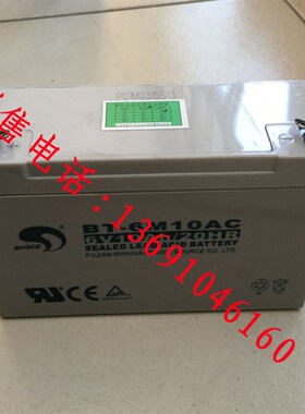赛特BT-6M10AC(6V10Ah/20HR)吊秤、童车用铅酸蓄电池