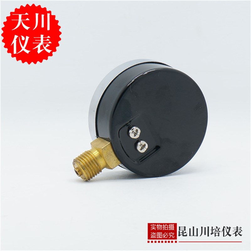 上海天川仪表Y-60普通压力表0-4,6,10,16,25,40MPA气压水压表y60