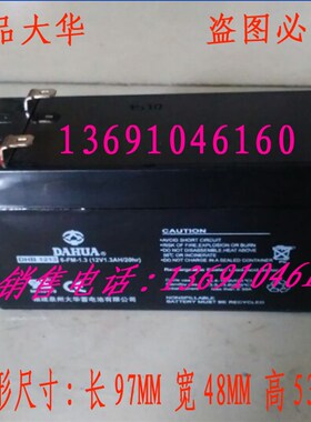大华蓄电池DHB1213玩具车小电瓶12V1.3AH铅酸儿童玩具电瓶