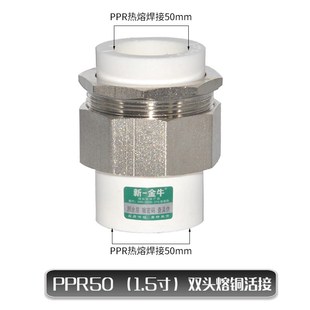 新寸金牛ppr双头熔接活4分6分1一铜活接2025两头焊接 水管活新款