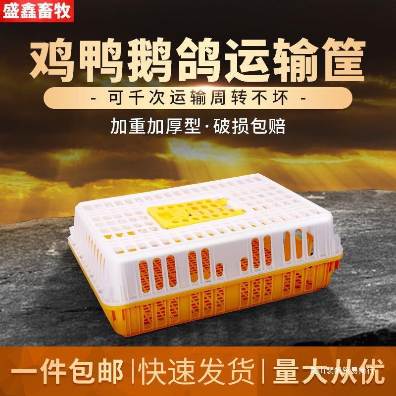 【量大从优】鸡笼周转箱家用大号加厚防摔养殖运输塑料鸡鸭鹅兔笼