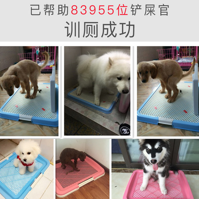 ,狗狗拉屎宠物上厕所尿盆神器自动冲水金毛大号大型犬诱便器便盆