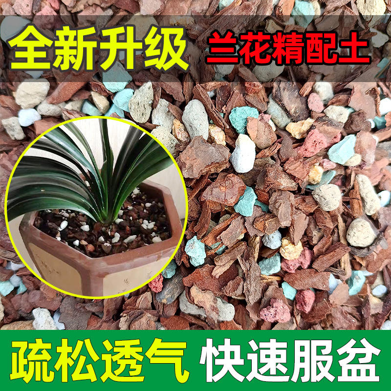 兰花植料腐熟脱脂松鳞兰科专用土
