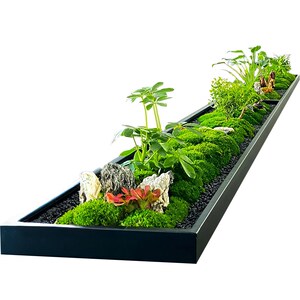 会议桌中间微景观摆件长桌苔藓绿植造景桌面装饰假花摆设/美空203