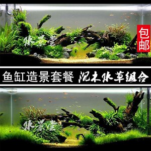 沉木鱼缸装饰 一木一叶鱼缸造景套餐生态小装饰植物懒人水草