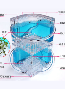 双层蚂蚁庄园蚂蚁工坊生态沙巢别墅蚂蚁生态箱农场送蚁后玩具礼物