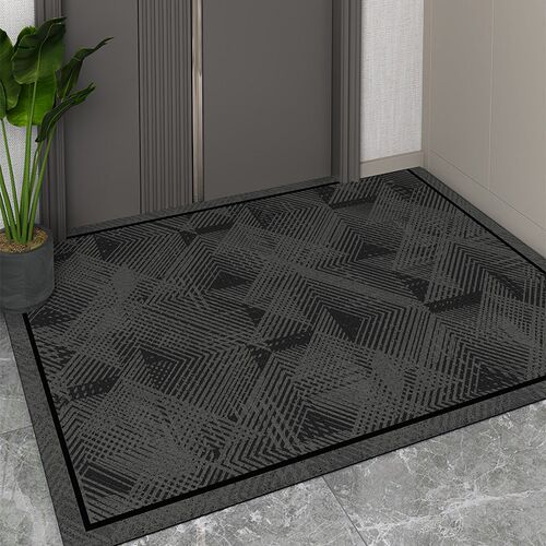 纯色入户地d垫2024新款丝圈进门门口免洗耐脏门垫家用防滑玄关脚