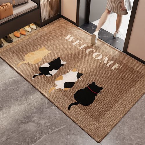 2025新款入户门地垫卡通玄关大门口进门脚垫防滑除尘耐磨耐脏地毯