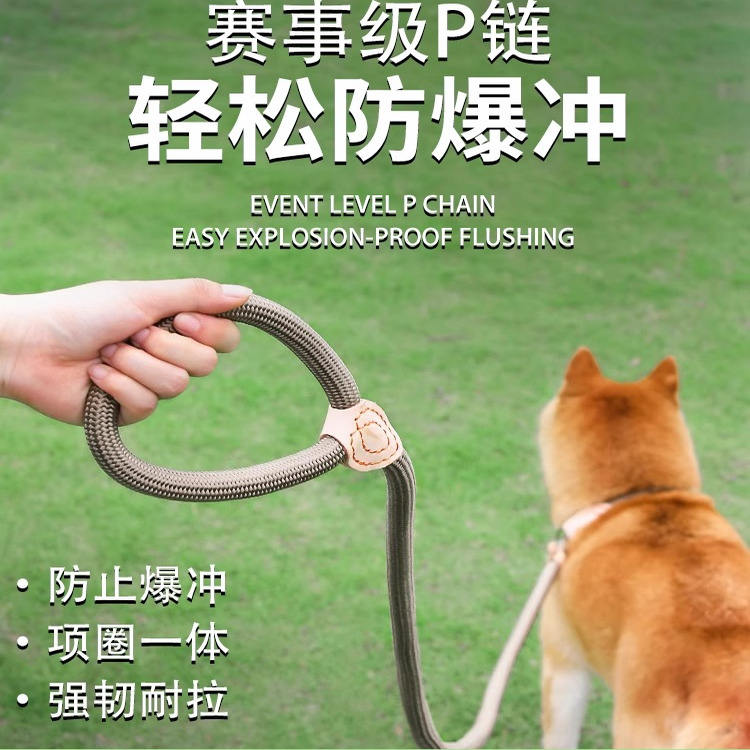 狗狗绳子防爆冲遛狗牵引绳防挣脱狗链子中大型犬耐磨加粗拴狗绳