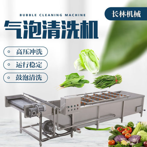 农作物清洗设备 风机鼓泡式果蔬气泡清洗机 自动净菜清洗机