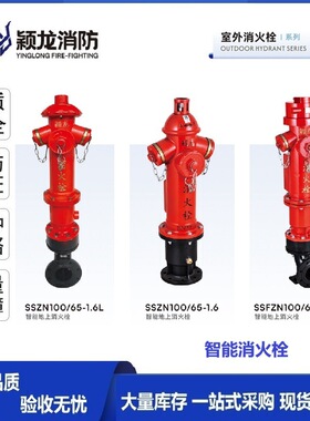 颖龙厂家定制SSZN100智能消防栓DN100远程流量监测智能室外消火栓