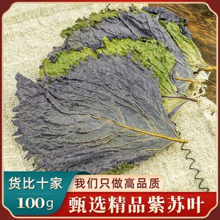 野生紫苏叶新鲜干货中药材可食用泡茶香料自晒无硫无粗杆功效好