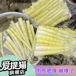 四川小竹笋新鲜春笋袋装罗汉笋方竹笋水竹笋嫩笋尖火锅食材笋商用