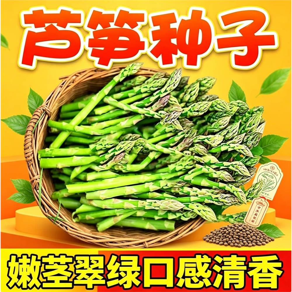 精选芦笋种子易活，耐寒