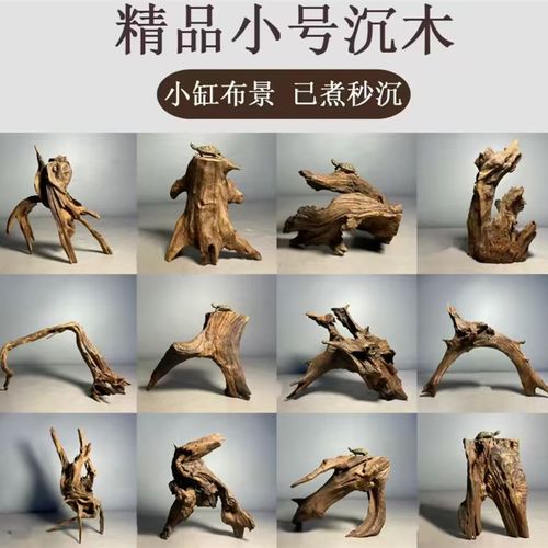 沉木鱼缸精品沉木天然造景沉木中小鱼缸造景沉木树桩鱼缸木头