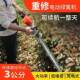 重修充电式 无大刷锂电动绿篱茶机功率粗枝剪机绿篱园修枝剪XZH林