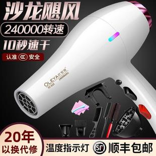 电吹风家用大功率负机离子护发力强发廊IML发型师风专用大风力速