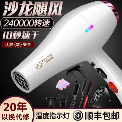 电吹风家用大功率负机离子护发力强发廊IML发型师风专用大风力速