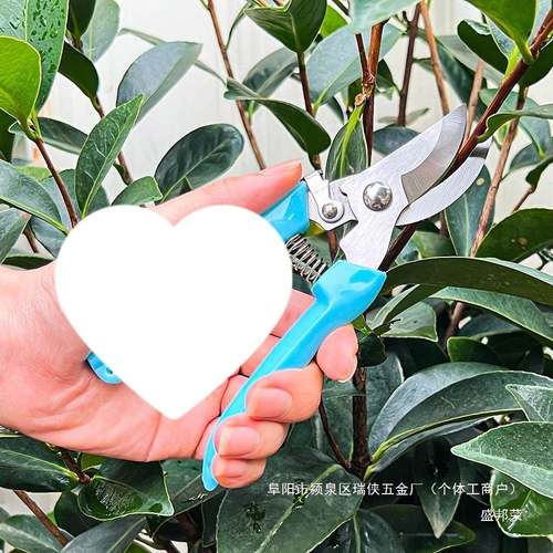 子摘果剪刀修枝园林工具修枝剪多功能剪不锈剪钢AL834950园艺剪园