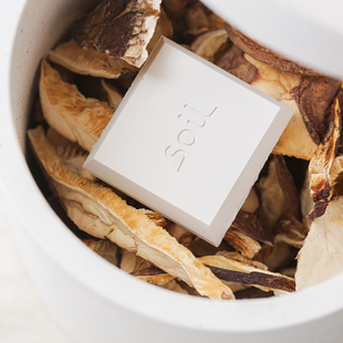 日本进口soil硅藻土干燥块厨房天然吸水防霉防潮剂环保食品干燥剂