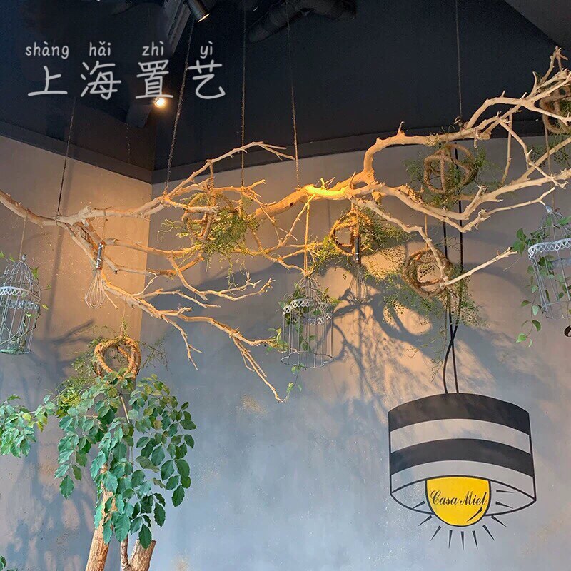 原木树枝干树枝 去皮树枝 室内造型树枝枯树枝装饰 树枝造景 橱窗