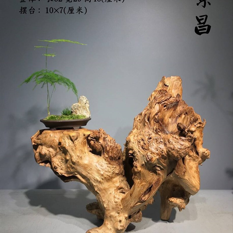 7根雕摆件风化枯木花瓶底座树根艺术品天然槠木干泡台新中