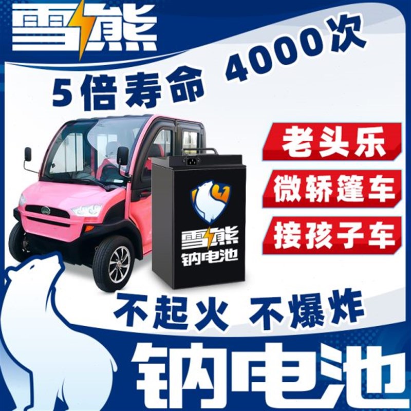 雪雄钠离子电池组平替48~72v锂电动篷车老头乐微轿接孩子三轮四轮