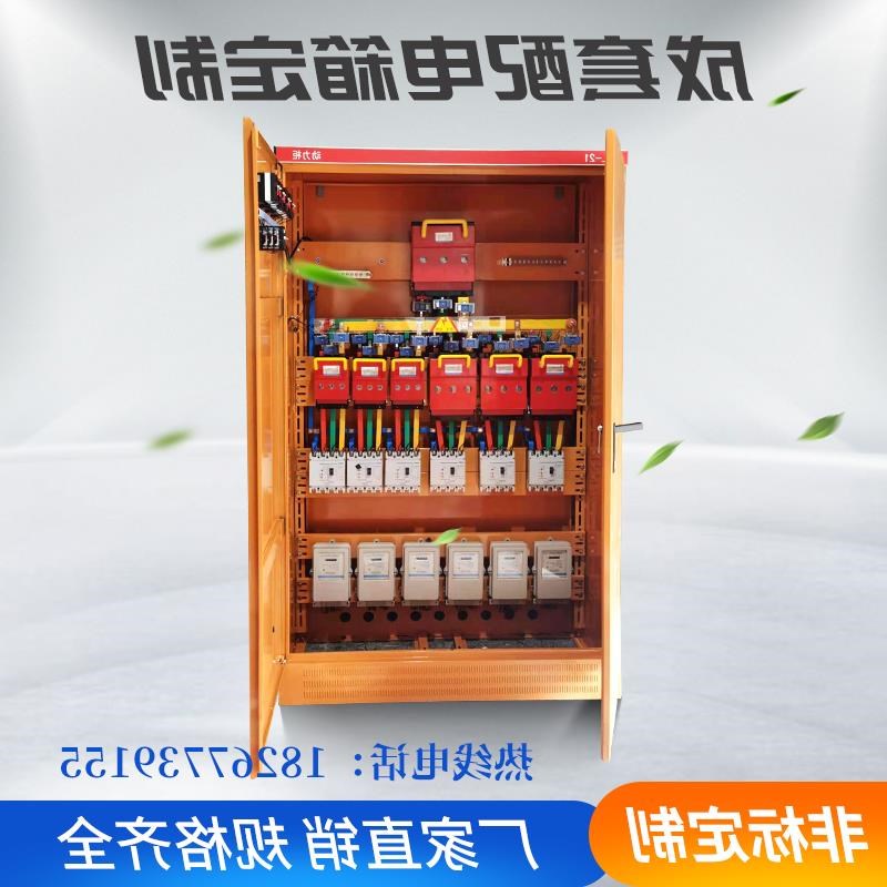 制定低压成套配电柜工地临时分线柜双电源配R电箱三相四线电柜