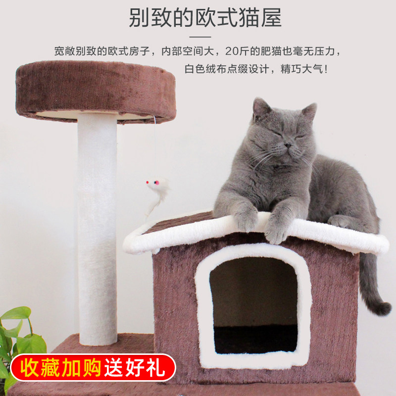 网红猫窝公主窝猫爬架大型猫实木麻藤猫架猫树一体猫咪架子猫别墅