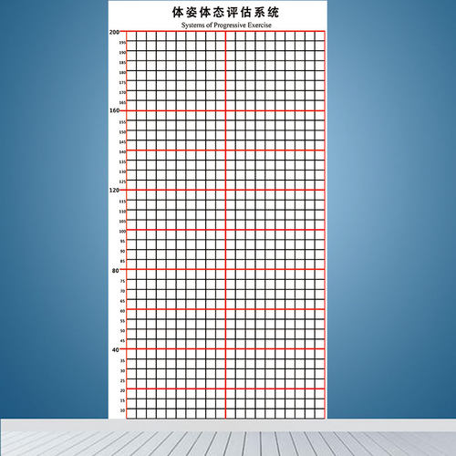 体态评估图壁画健j身房体测表身体形体测评脊椎修复墙装饰瑜伽私