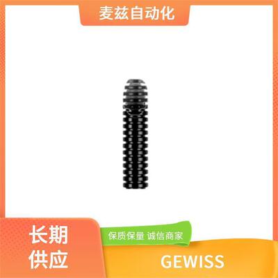 德国 GE1WSS 格威斯 GW16202MIS 隔离开关 DUHGWP336FH957